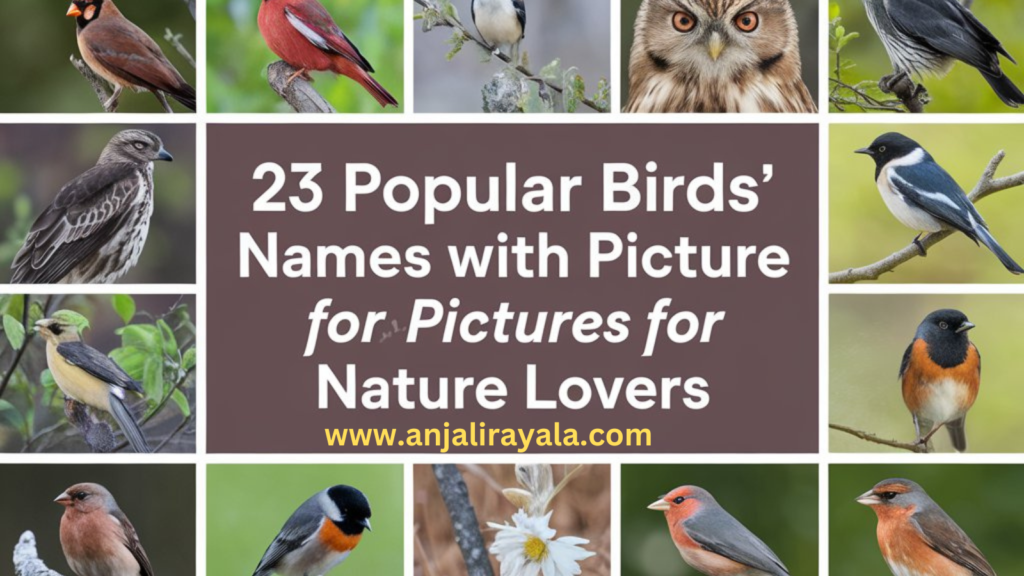 Popular Birds’ Names with Pictures